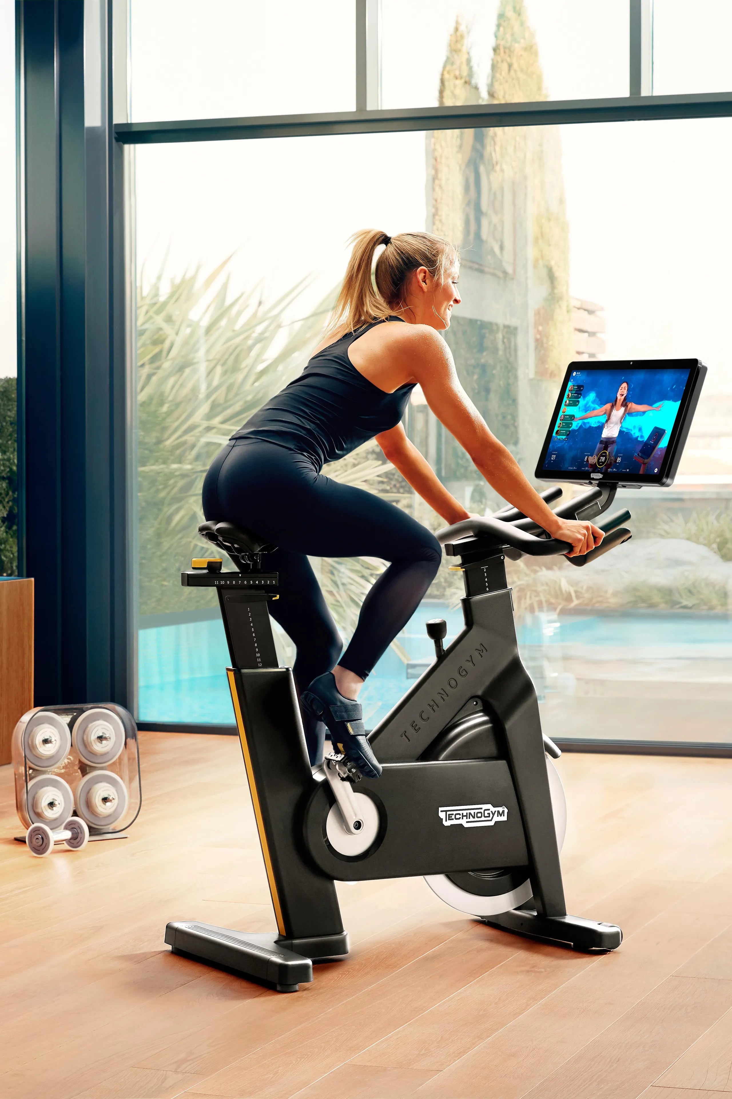 Technogym Bike